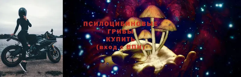 Галлюциногенные грибы MAGIC MUSHROOMS  Ахтубинск 